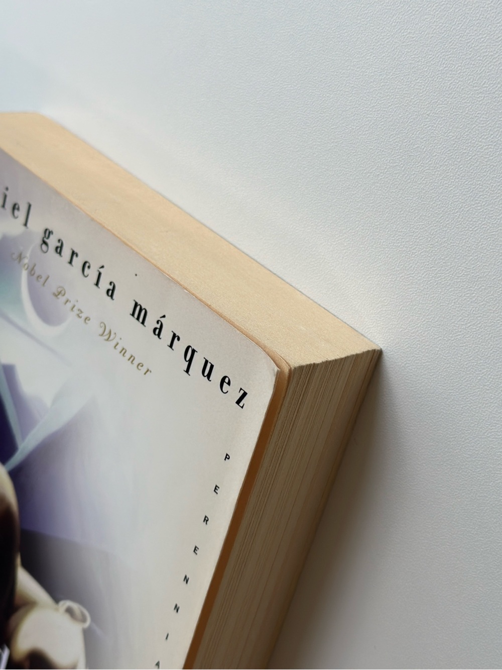 One Hundred Years of Solitude by Gabriel Garcia Marquez |Fiction| FREE W/ PURCH - Picture 8 of 12